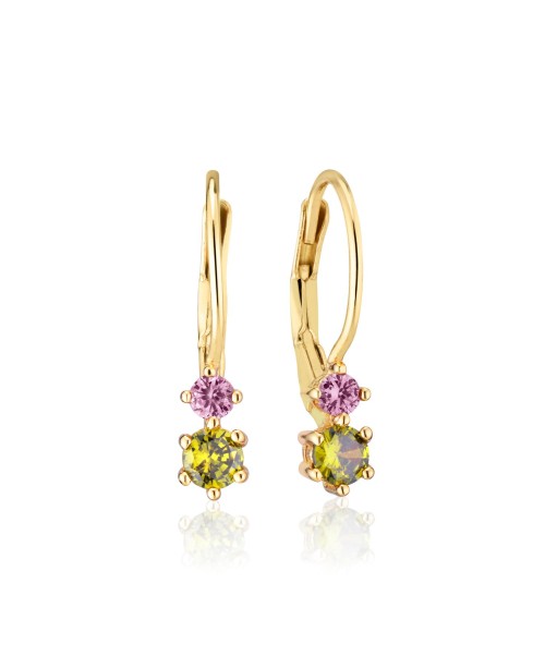 Rimini Earrings SJ-E22111-PKPD-SG