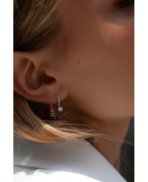 Rimini Earrings SJ-E22111-PKPD-SG