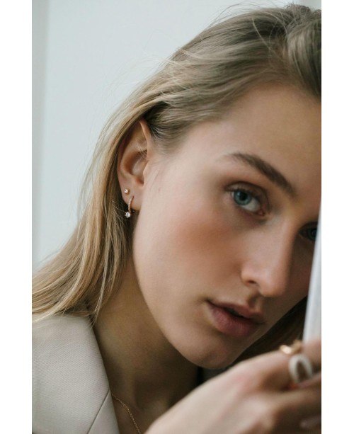 Rimini Earrings SJ-E22112-CZ-SG