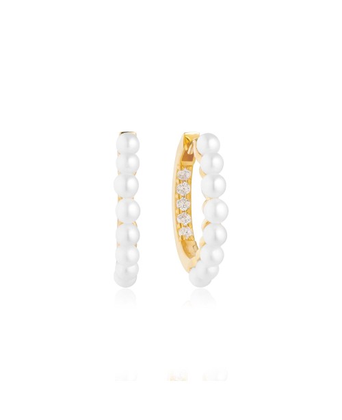 Padua Earrings SJ-E22214-PCZ-YG