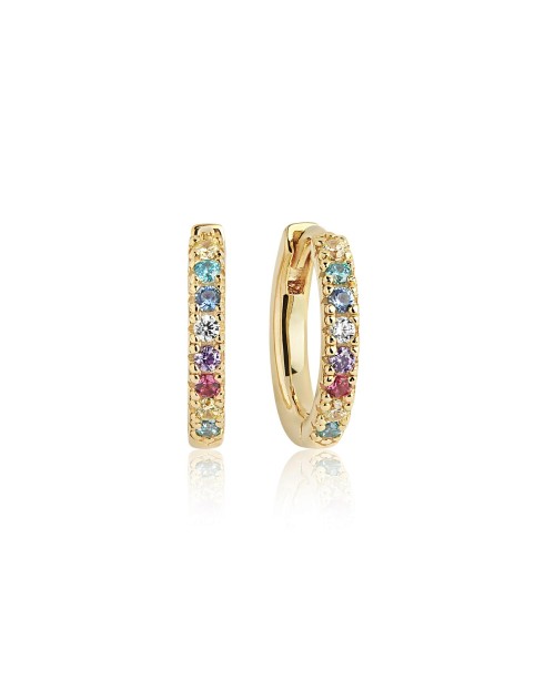 Ellera Earrings SJ-E2859-XCZ(YG)