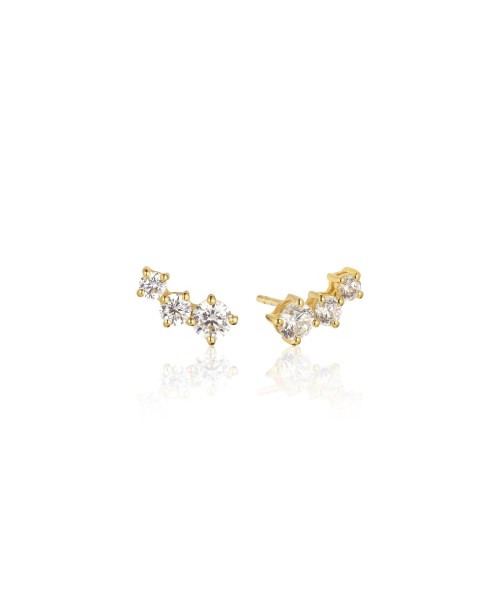 Belluno Earrings SJ-E42107-CZ-SG