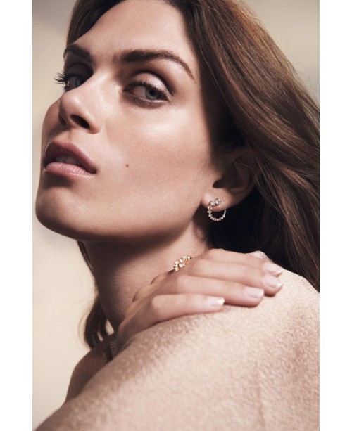 Belluno Earrings SJ-E42109-CZ-SG