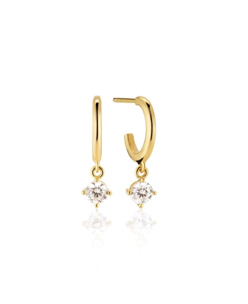 Belluno Earrings SJ-E42112-CZ-SG