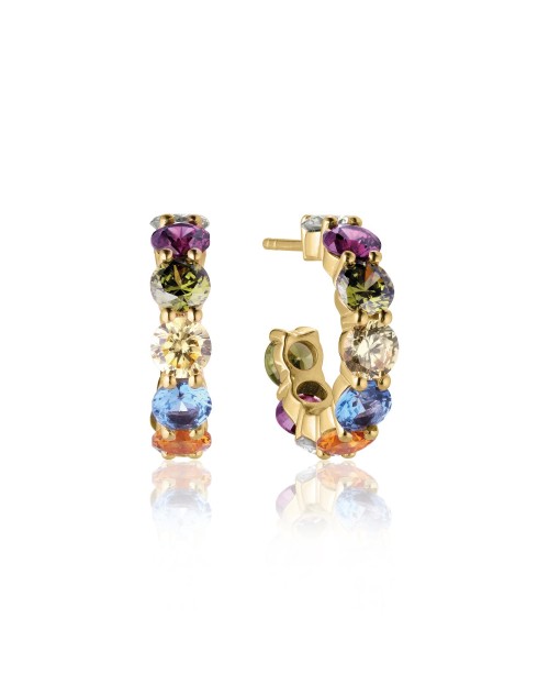 Belluno Earrings SJ-E42115-ACZ-SG