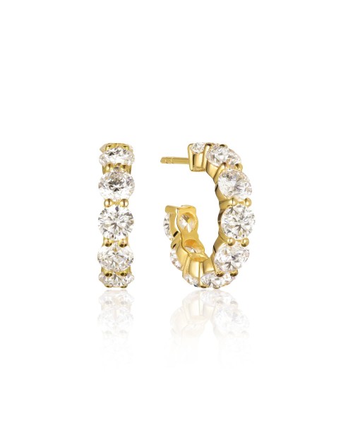 Belluno Earrings SJ-E42115-CZ-SG