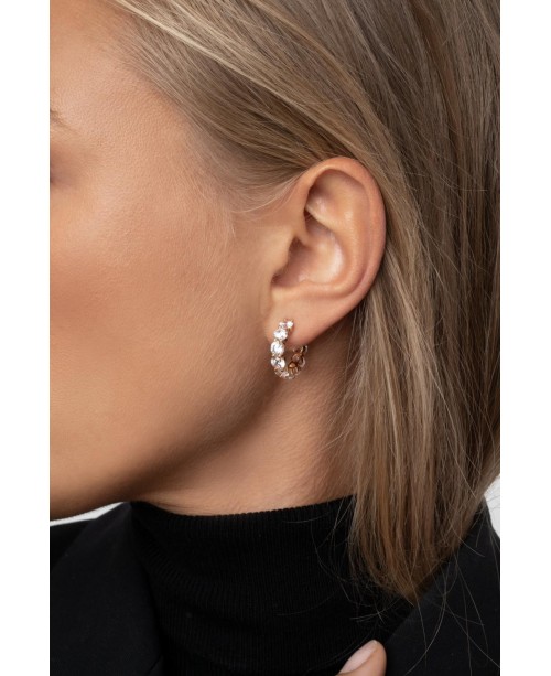 Belluno Earrings SJ-E42115-CZ-SG