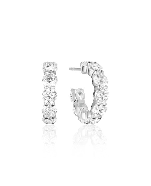 Belluno Earrings SJ-E42115-CZ-SS