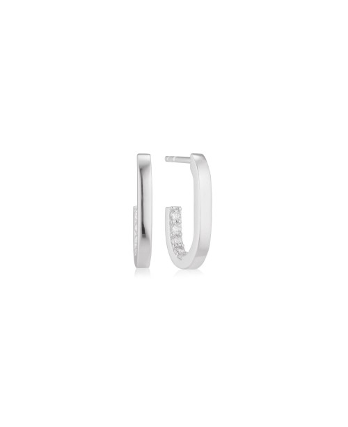 Capizzi Earrings SJ-E42210-CZ