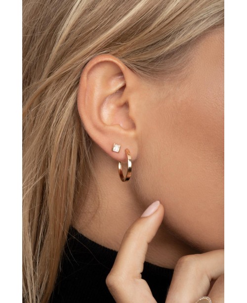 Roccanova Earrings SJ-E42250-CZ-YG
