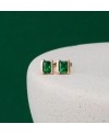 Roccanova Earrings SJ-E42250-GCZ-YG