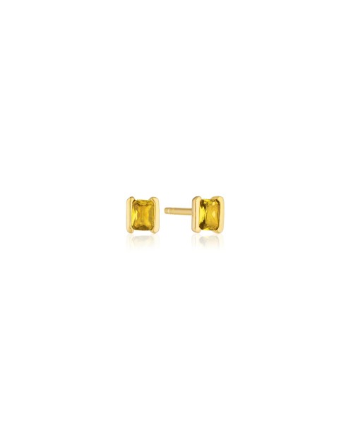 Roccanova Earrings SJ-E42250-YELCZ-YG