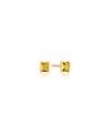 Roccanova Earrings SJ-E42250-YELCZ-YG