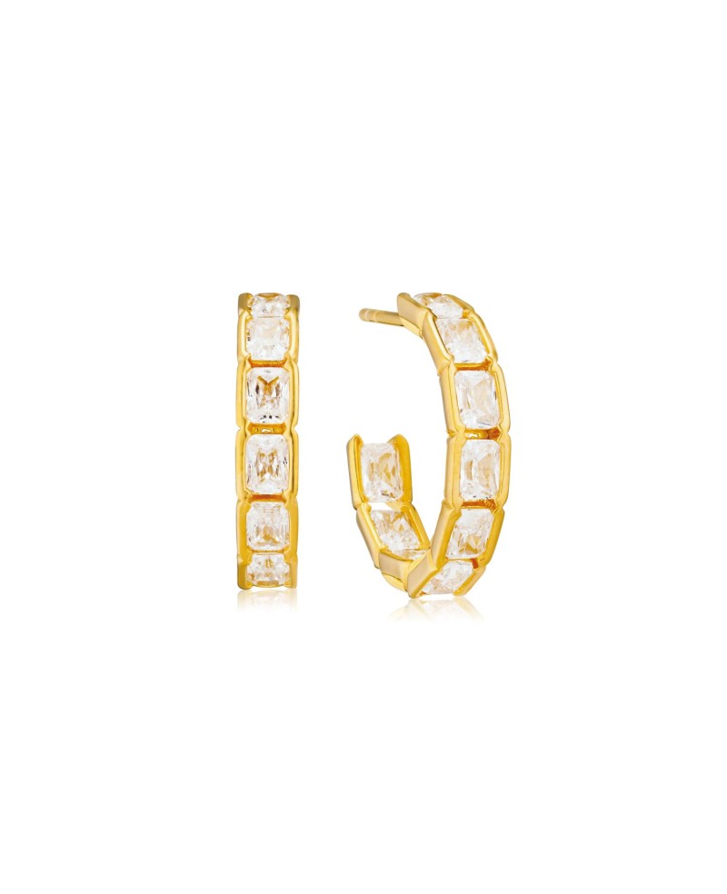 Roccanova Earrings SJ-E42272-CZ-YG