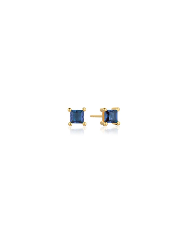 Ellera Earrings SJ-E42277-BLCZ-YG