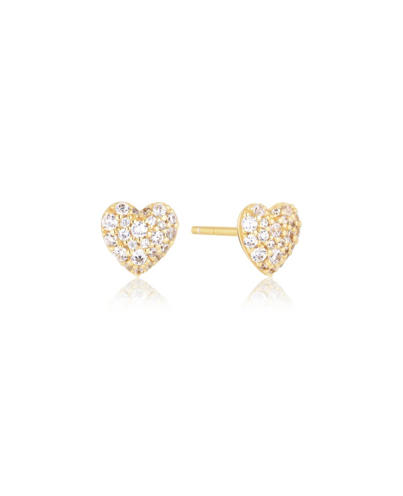 Caro Earrings SJ-E72350-CZ-YG