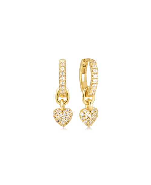 Caro Earrings SJ-E72352-CZ-YG