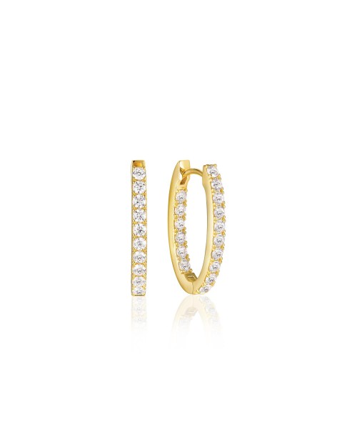ELLISSE Earrings SJ-E2312-CZ-YG