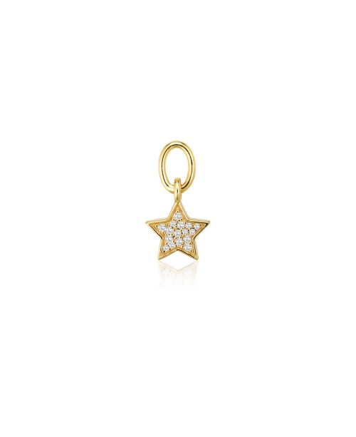 CHARMS Pakabukas auskarams SJ-CH2381-CZ-YG