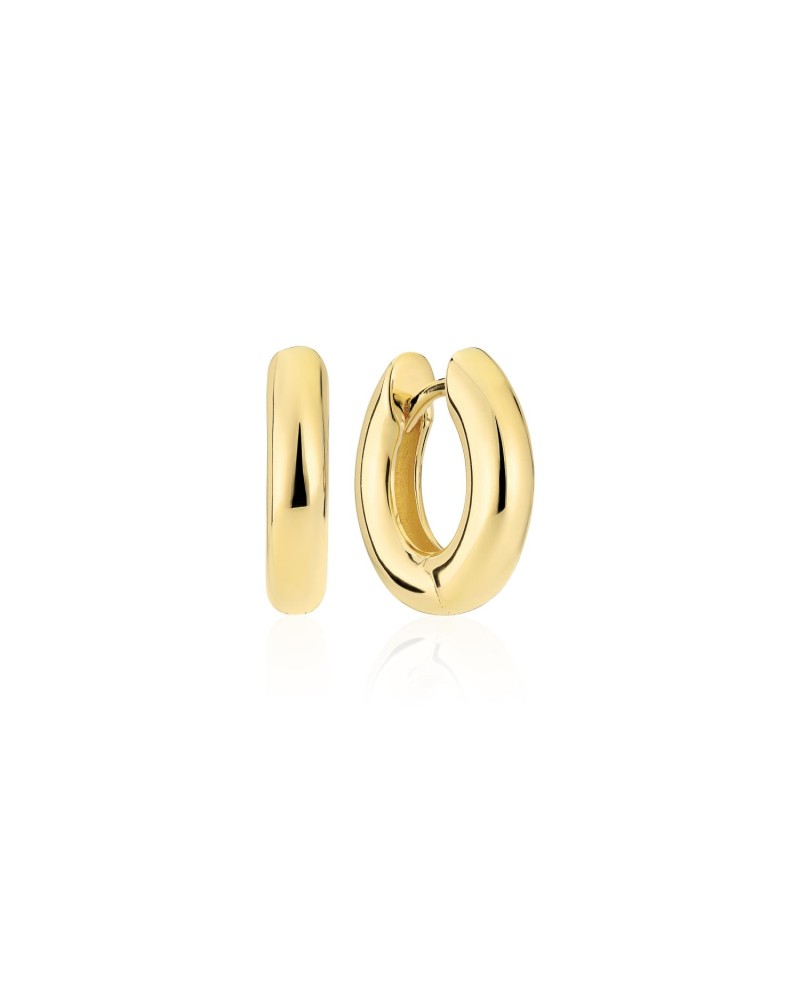 CARRARA Earrings SJ-E2470-YG