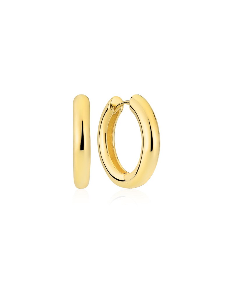 CARRARA Earrings SJ-E2471-YG