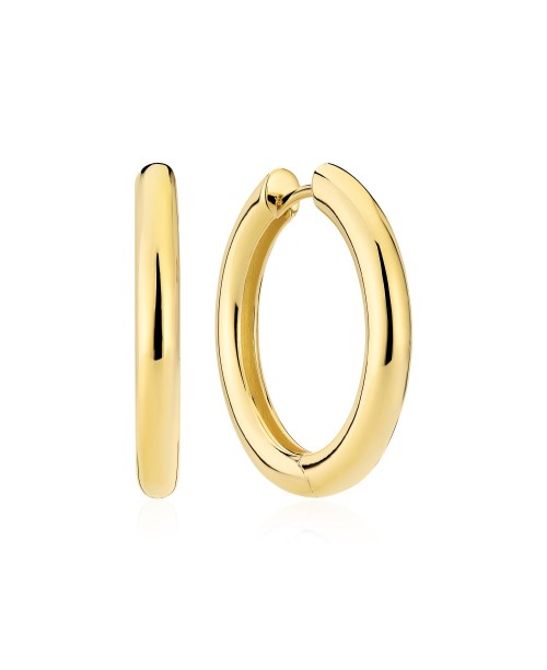 CARRARA Auskarai SJ-E2472-YG