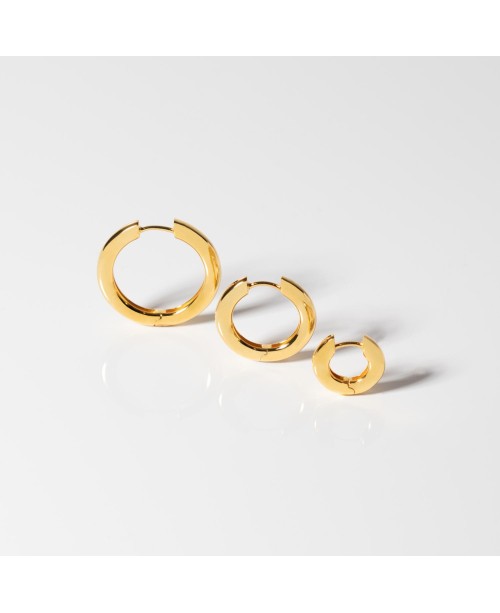 CARRARA Auskarai SJ-E2472-YG