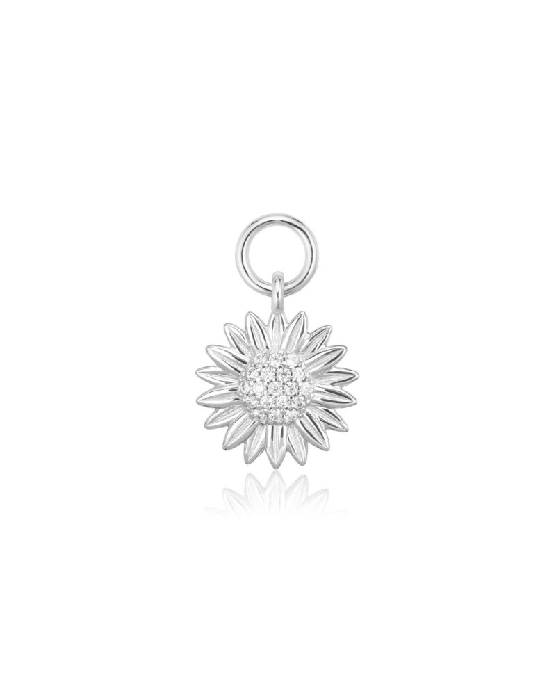 Charm SJ-CH2382-CZ