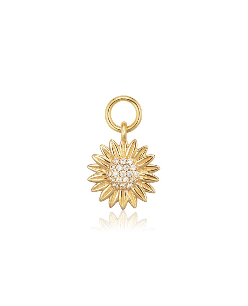 Charm SJ-CH2382-CZ-YG