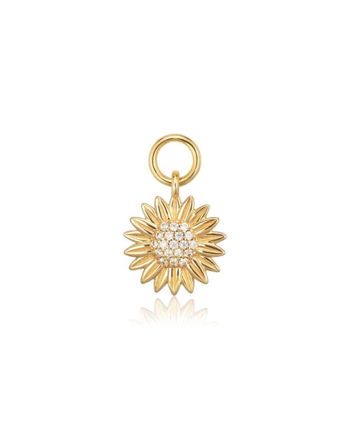 Charm SJ-CH2382-CZ-YG