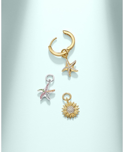 Charm SJ-CH2382-CZ-YG