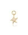 Charm SJ-CH2384-CZ-YG