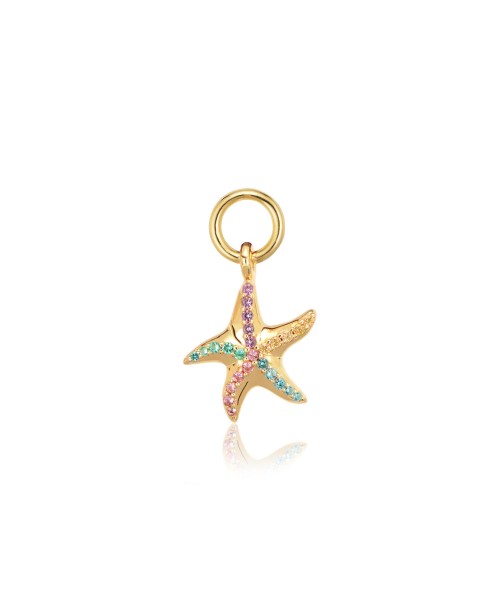 Charm SJ-CH2384-XCZ-YG