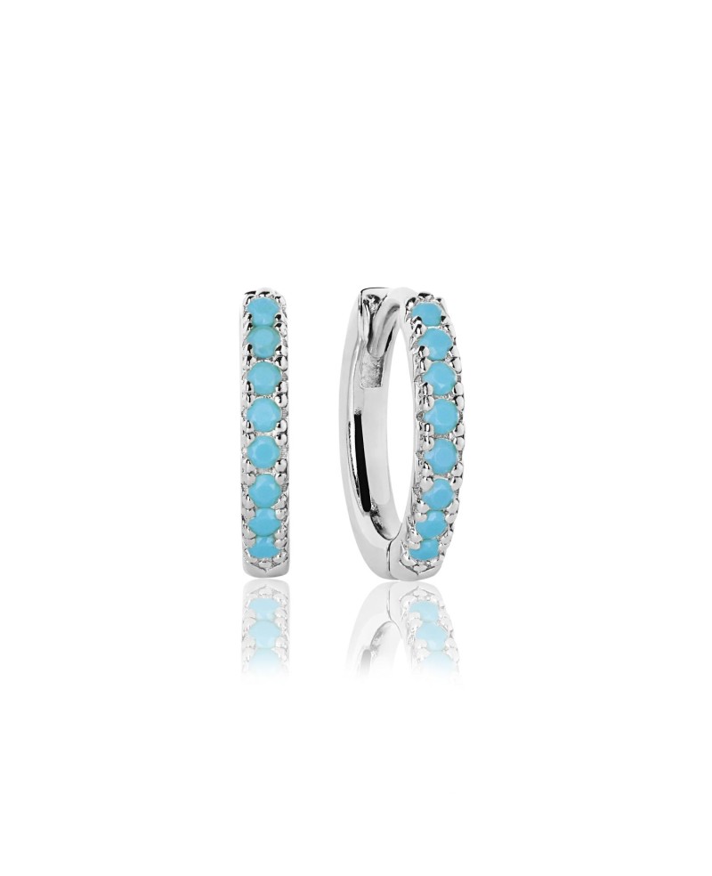 Ellera Earrings SJ-E2859-TQ