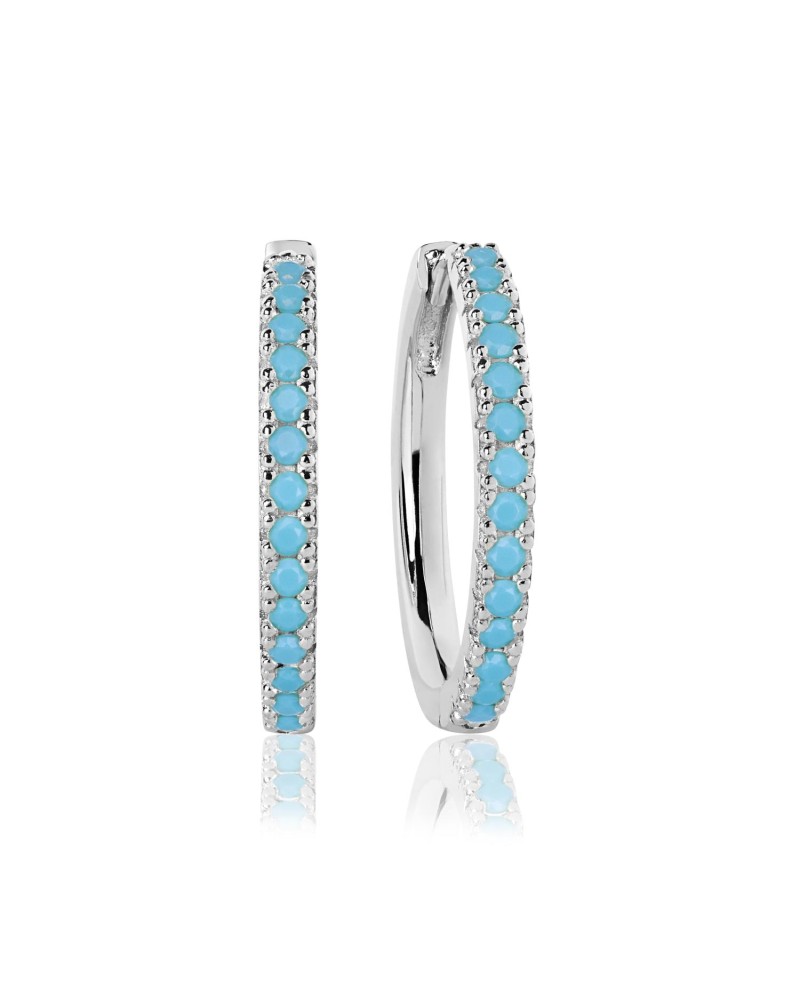 Ellera Earrings SJ-E2869-TQ