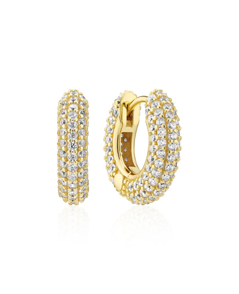 Carrara Earrings SJ-E2473-CZ-YG