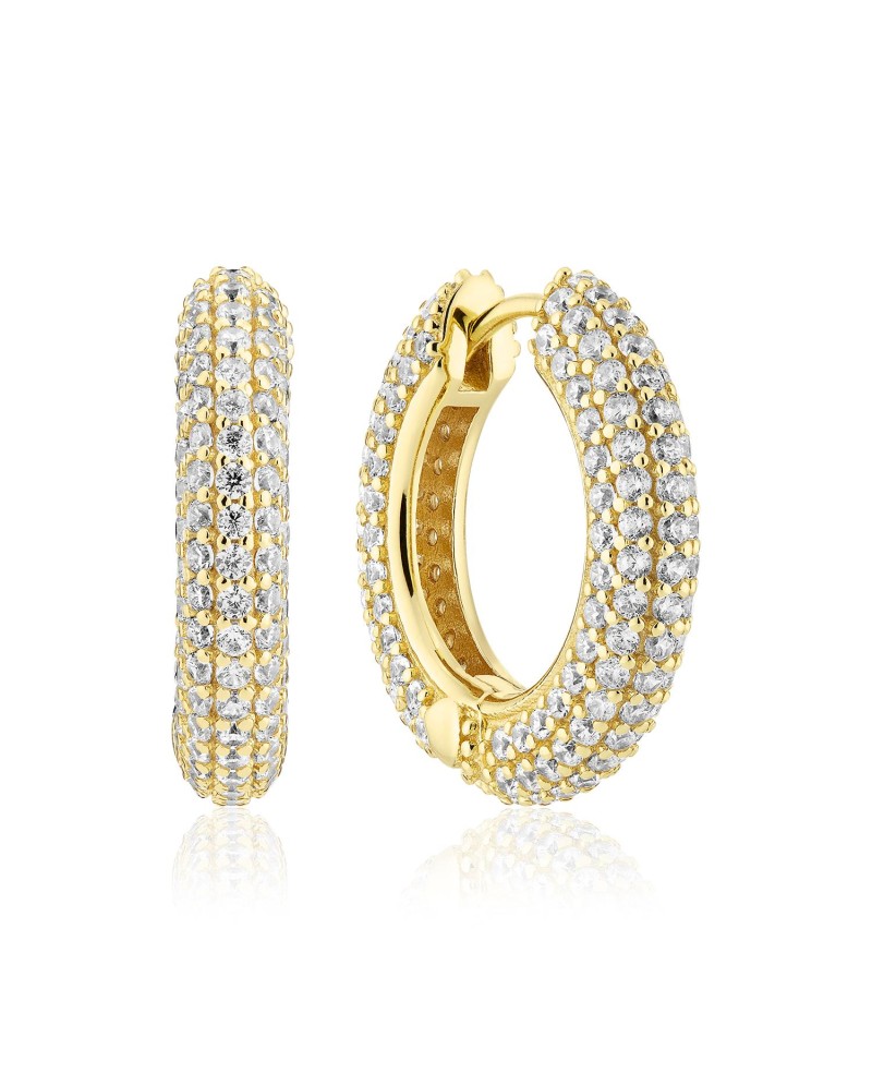 Carrara Earrings SJ-E2474-CZ-YG