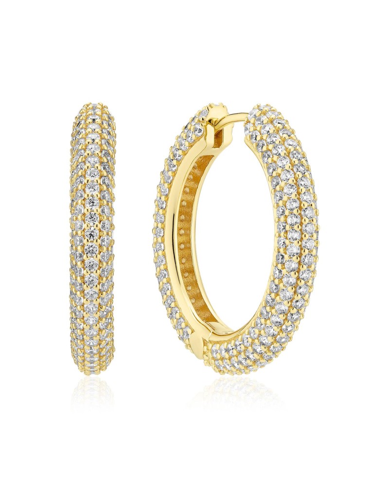 Carrara Earrings SJ-E2475-CZ-YG