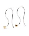 Earring Hooks, Silver/Gold