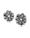 Blueberries of Youth Earring Accessories