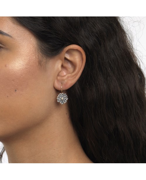 Blueberries of Youth Earring Accessories