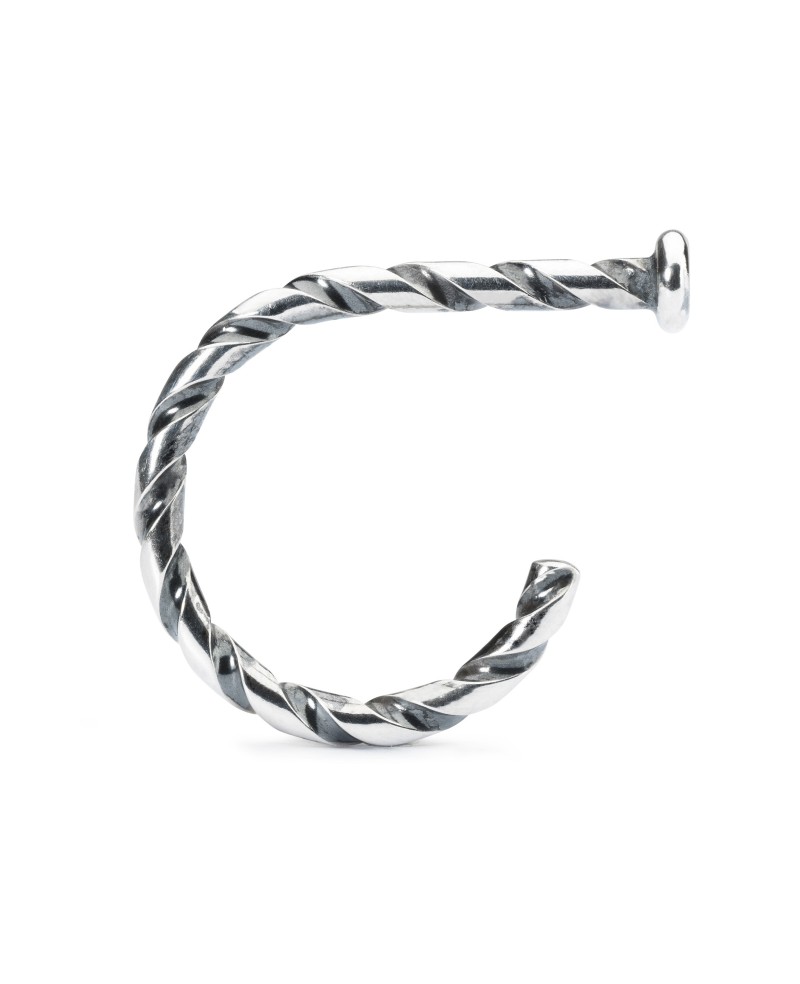 Twisted Ring of Change