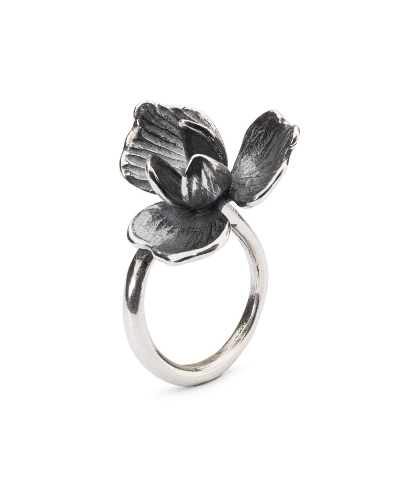 Unfolding Ring