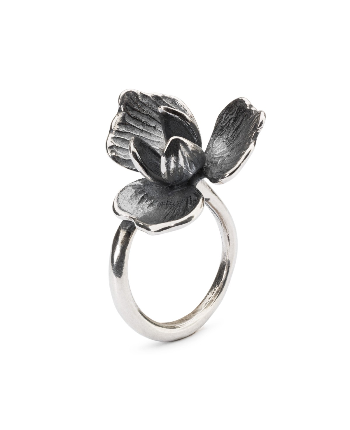 Unfolding Ring Unfolding Ring