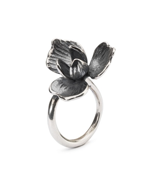 Unfolding Ring