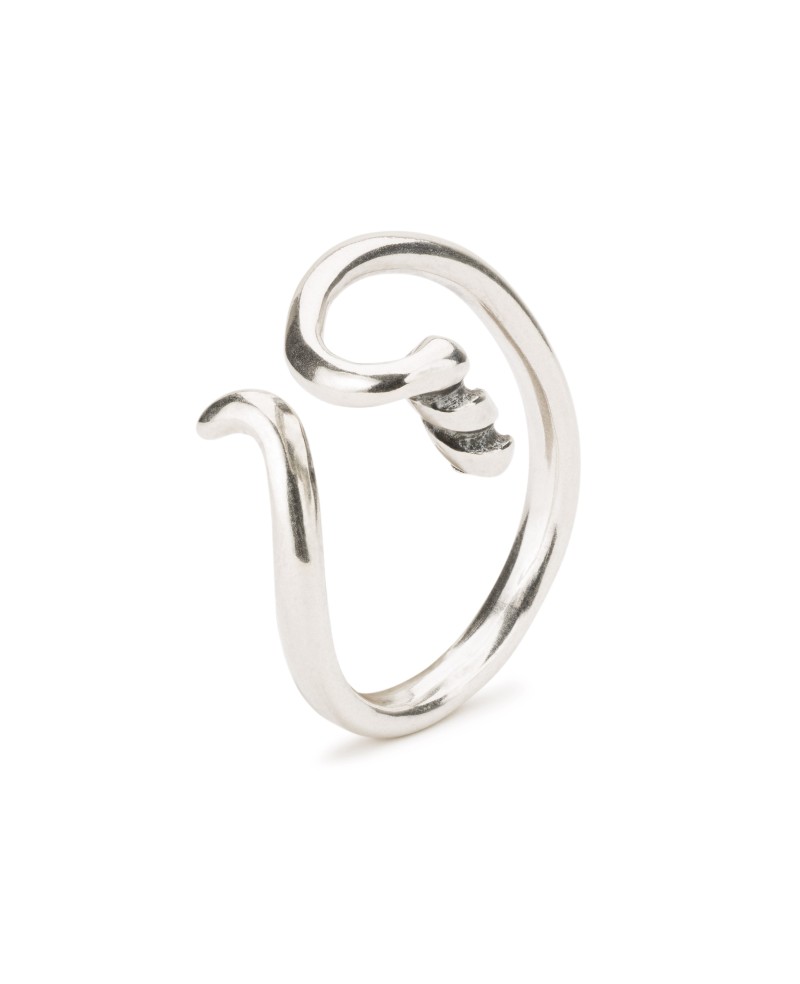 Elegant Fantasy Ring