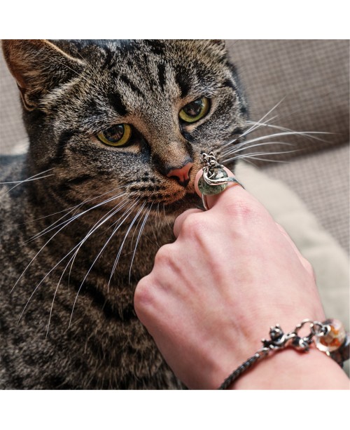 Cat at Ease Fantasy Ring