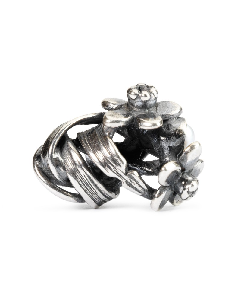 Geltonasis Kovo Narcizas