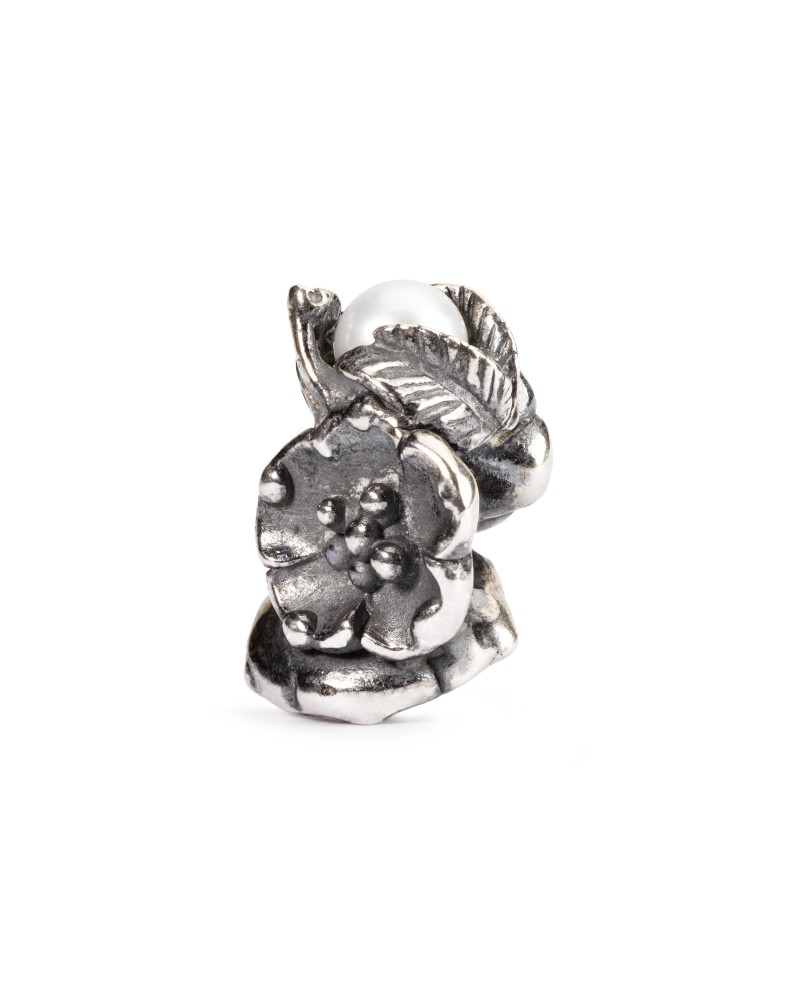 Gegužės Šaltalankis