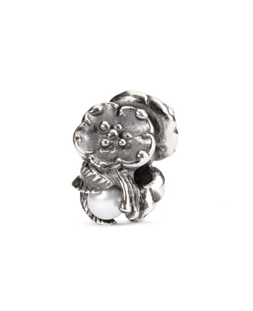 Gegužės Šaltalankis